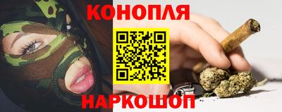 a pvp Свободный