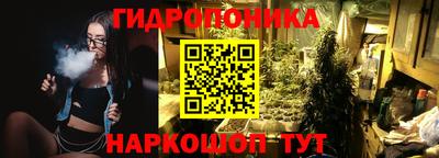 a pvp Свободный